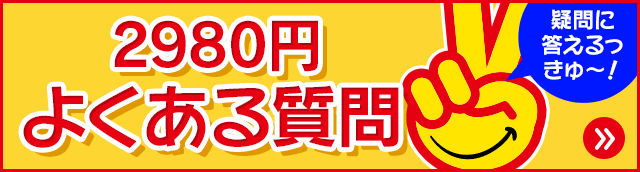 2980円の遊び方 よくある質問
