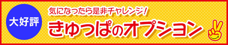 きゅっぱのオプション